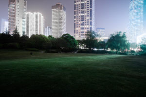 Asia, China, Shanghai, parkland at night with skyscrapers Asia, China, Shanghai, parkland at night with skyscrapers